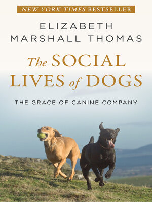 cover image of The Social Lives of Dogs